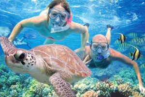 Kauai’s Ultimate Guided Shore Snorkel